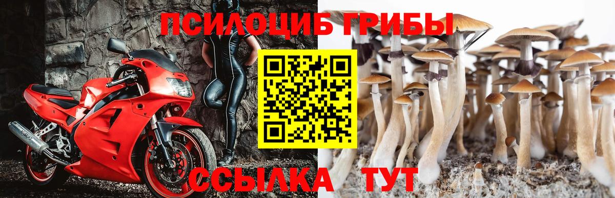 Серов  Псилоцибиновые грибы прущие грибы  Вход с VPN 